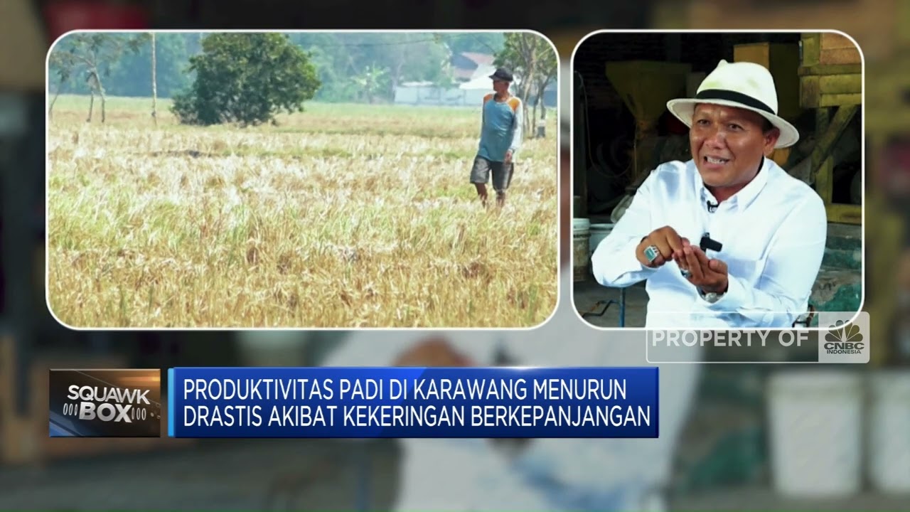 Penggilingan Padi Di Karawang Terancam Bangkrut Karena Ini