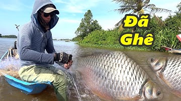 Giăng Lưới Mùa Nước Nổi | Mẻ Cá Quê Đơn Giản Mà Vui, Cuộc Sống Miền Tây Mùa Lũ ⭐ Net Fishing