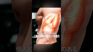 最も効果のある上腕三頭筋の種目3選 #フィットネス #筋トレ