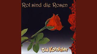 Komm mit ins Wunderland