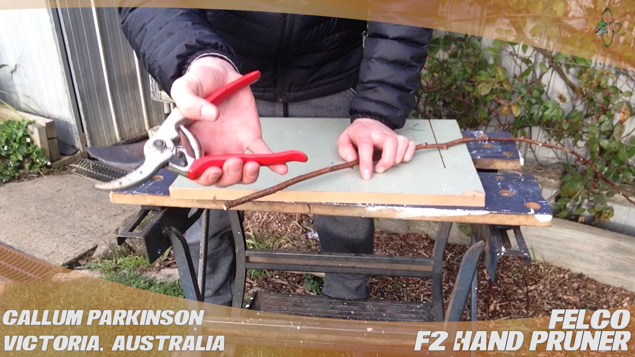 Felco F2 Hand Pruner Customer Callum Parkinson's Review