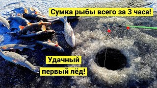 Щедрое перволёдье! Еле донес рыбу до машины