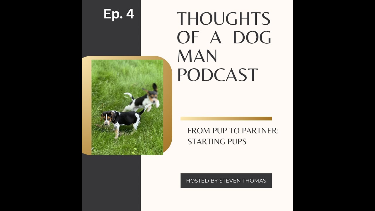 From Pup to Partner: Phase 1 of Puppy Training #dogtraining #howto #tips #podcast