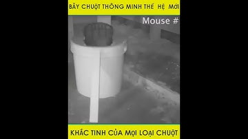 Bẫy chuột tự động thông minh có nắp trượt bập bênh kèm mồi BA573