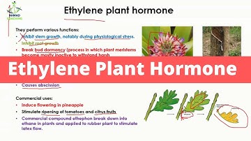 Ethylene Plant Hormone