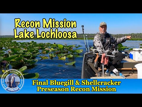 Preseason Bluegill & Shellcracker Bedding Locations