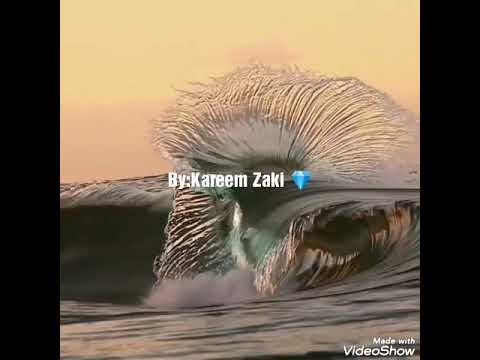 وي كان الوقت في بعدك وقاف مبيمشيش