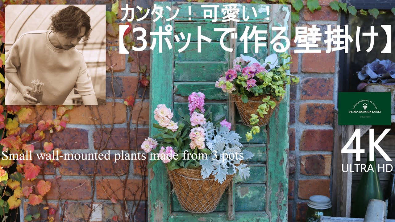 パンジー・ストック／簡単！可愛い！3ポットで作る壁掛け寄せ植え【冬のガーデニング】-フローラ黒田園芸- mixed planting/ Winter gardening 4K ULTRA HD