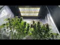 Using Heaters to Increase the Temperature and VPD