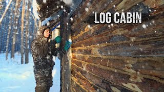 Building log cabin: painting works, made a warehouse for firewood. Part 18.