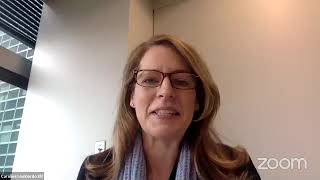 UN Webinar on Transfer Pricing Aspects of Financial Transactions