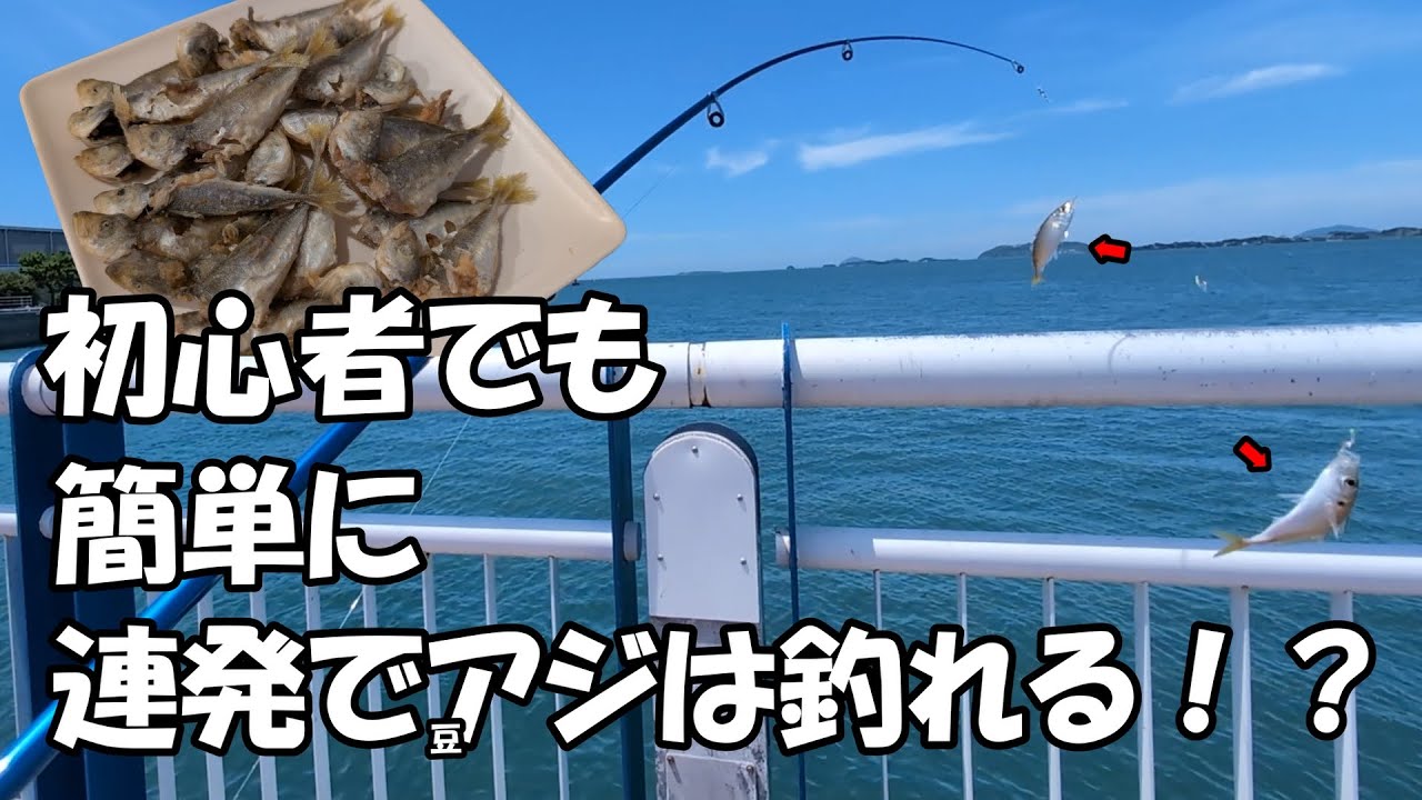 【サビキ釣り】初心者でも３つあることを変えると簡単に連発でアジは釣れる！！#3