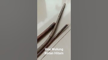 Tongkat Prabu Siliwangi #short