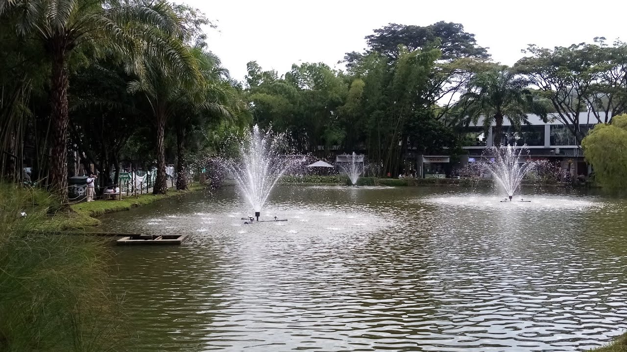 Humedal Lago Verde #senderismo 🔎Video realizado por Jose Luis Reyes 