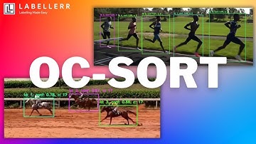 Real-Time Object Tracking with OC-SORT