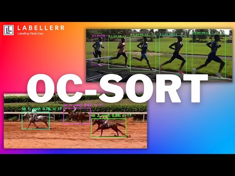 Real-Time Object Tracking with OC-SORT