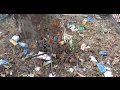 Communities and Local Government Select Committee - Litter inquiry