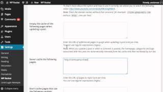 How to Setup DNS Prefetching, Caching Specifics, and CSS & JS Fine Tuning in WP Rocket