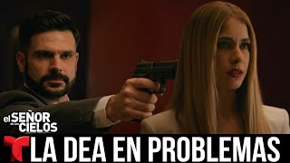 El Señor De Los Cielos 10 - Capítulo 33 : Bernardo Contra Rutila | Análisis y Detalles