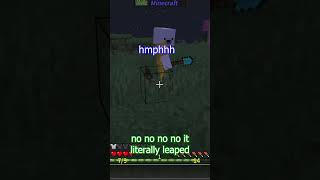 Minecraft Mayhem: Player Goes from SAD to FURIOUS After Creeper Attack!