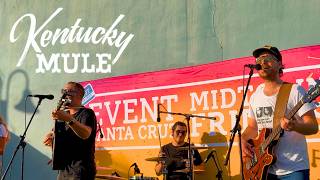 Kentucky Mule – Its On (Live in Santa Cruz) | Midtown Fridays
