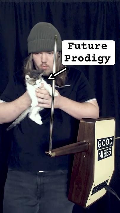 I Tried Playing Classical Theremin w/ My Kitten Moogy