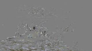 Motion Extraction