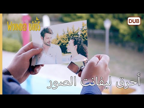 أحرق ليفانت الصور الطيور المجروحة  مدبلج عربي