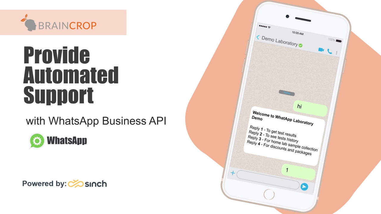 WhatsApp API Medical Lab Demo - BrainCrop Pakistan - YouTube