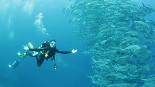 Pesona Indonesia Wakatobi Tvc Hd