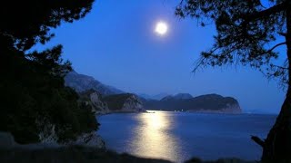 Бетховен - Бетховен -