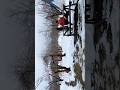 Snowfall in Almaty #kazakhstan #tourist #spot #viral #couple #travel #nature #trend #reel #yt