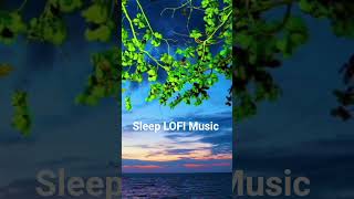 sleep-in Lofi Music #relaxingmusic #thetawaves #10hoursleep #fullmoonrelaxation #foresttherapy