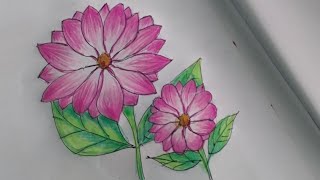 Day 299 / pink flower drawing /  basic drawing class 