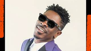 Shatta Wale - Ay3 Halfcast lyrics screenshot 5