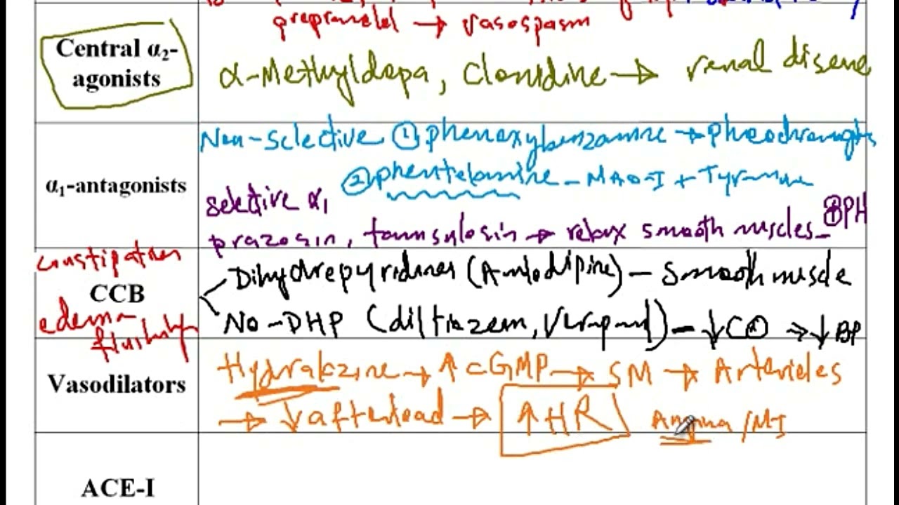 USMLE ACE Video 128: Hypertension Risk Factors and Treatment Medications
