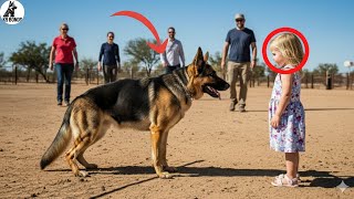 Little girl finds a lost puppy, the next day she discovers it’s a heroic Police Dog