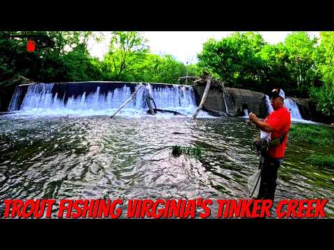 Fishing Virginia’s Tinker Creek After the Stocking Crowds Left!
