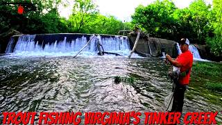 Fishing Virginia’s Tinker Creek After the Stocking Crowds Left!
