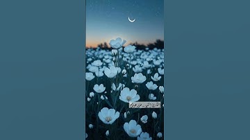 ﴿ إِنَّ يَوْمَ الْفَصْلِ مِيقَاتُهُمْ أَجْمَعِينَ﴾[ الدخان: 40]سورة : الدخان - Ad-Dukhaan #اكسبلور