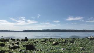 The swim babe 21: Mukilteo Beach park 3: swimming in low tide