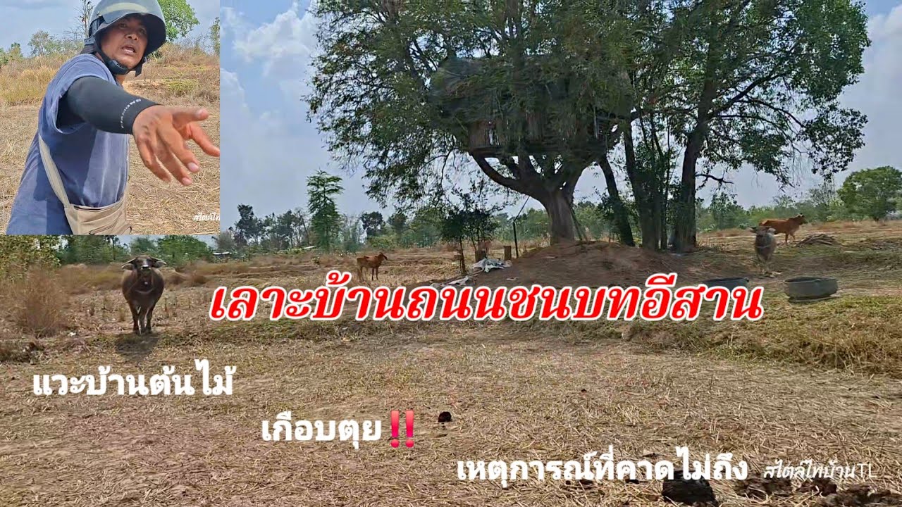 เกือบตุย‼️เหตุการณ์ที่คาดไม่ถึง‼️เลาะบ้านถนนชนบทอีสาน แวะบ้านต้นไม้