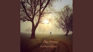 Au Revoir -Esteban Delano