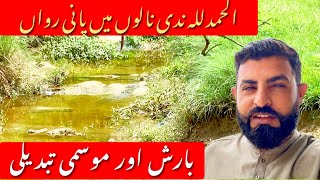 Water Upraised in Streams | Rainy Day with A Special Village Food