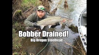 Oregon monster steelhead | Bobber down!