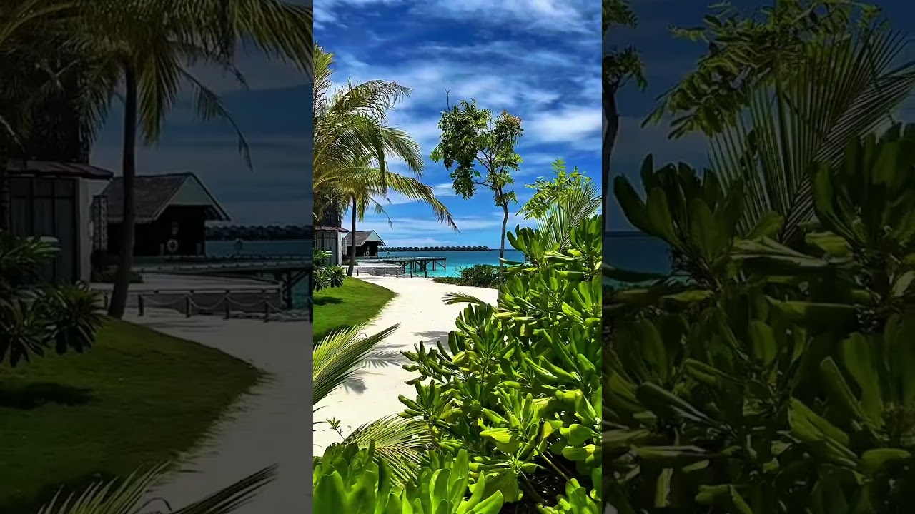 This Beach Path Hides a Secret!