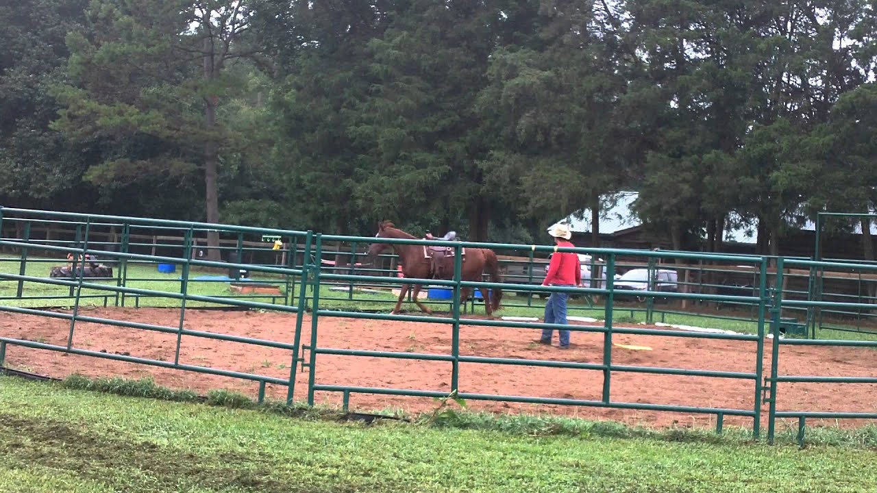 morning workout with Tex