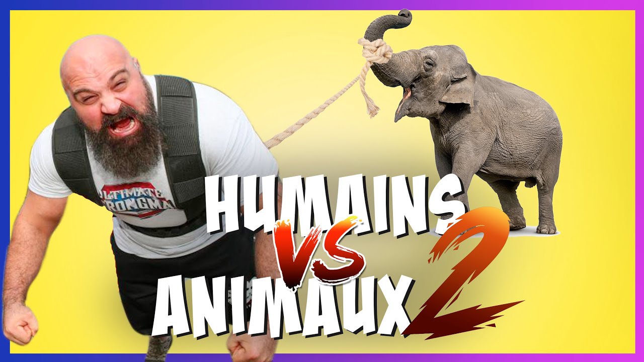 QUI est le PLUS FORT ? | ANIMAUX vs HUMAINS (#2)
