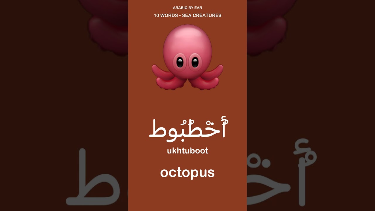 10 Arabic Words for Sea Creatures | Learn Arabic with Pictures #shorts