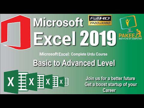 06  Format Painter  microsoft Excel 2019 tutorial Urdu   Hindi